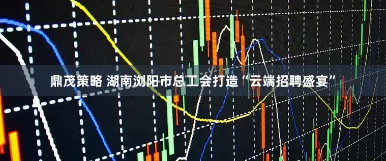 鼎茂策略 湖南浏阳市总工会打造“云端招聘盛宴”