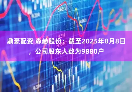 鼎豪配资 森赫股份：截至2025年8月8日，公司股东人数为9880户