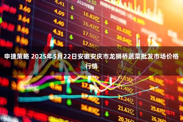 申捷策略 2025年5月22日安徽安庆市龙狮桥蔬菜批发市场价格行情